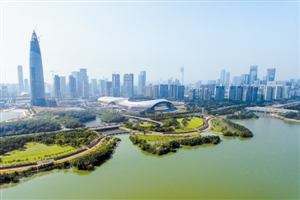 深圳将实施四大行动33项任务 全力提升城市文明水平