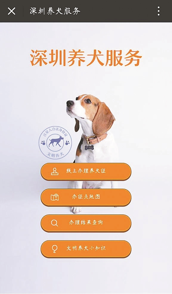 微信也能办“犬证”了 深圳城管“养犬服务平台”上线